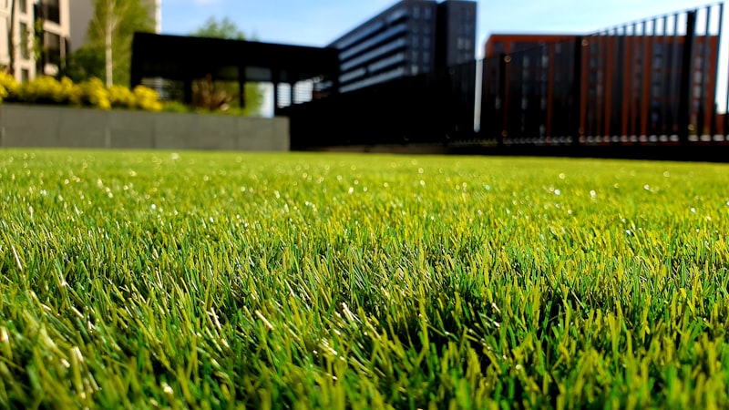 Well-maintained residential lawn